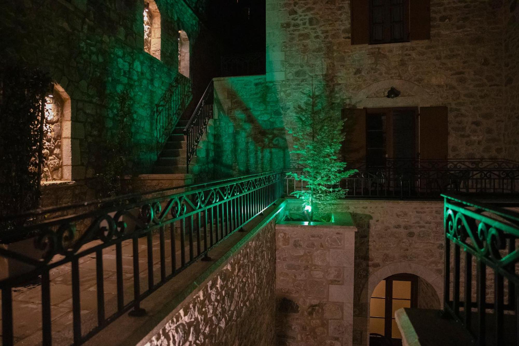 Μikri Arktos Boutique Hotel ディミツァナ エクステリア 写真