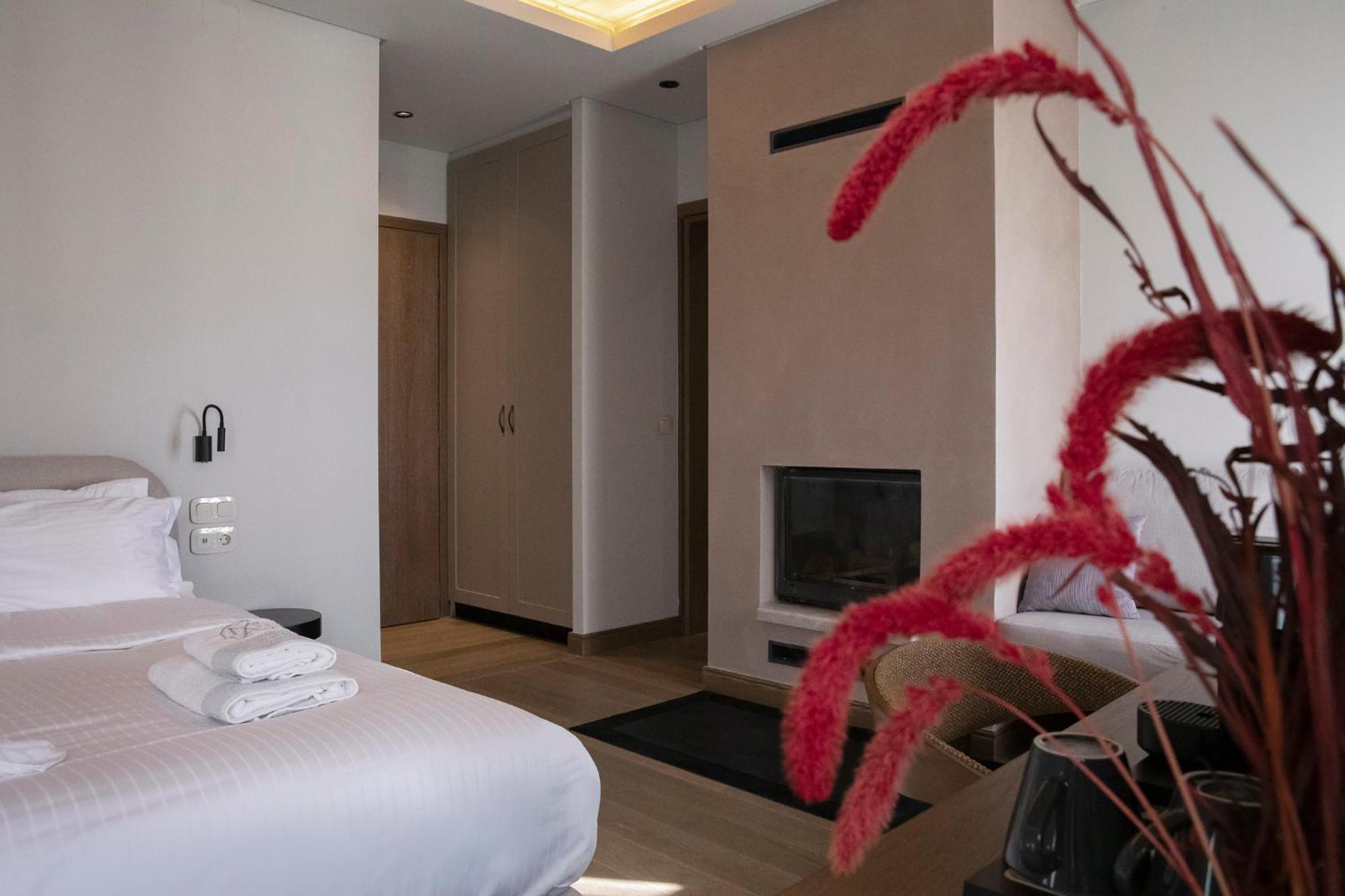 Μikri Arktos Boutique Hotel ディミツァナ エクステリア 写真